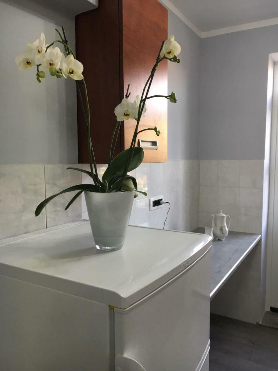 Apartment Kumicic - 3 Bedrooms Icici Ngoại thất bức ảnh